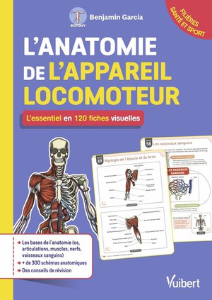 L'anatomie De L'appareil Locomoteur : L'essentiel En 200 Fiches Visuelles ; L'essentiel Pour Les Etudiants 