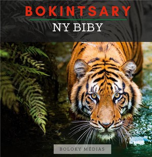 Bokintsary - Ny Biby - Imagier Malgache - Les Animaux - Illustrations, Couleur 