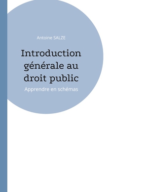 Introduction Generale Au Droit Public : Apprendre En Schemas 
