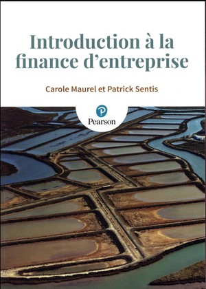 Introduction A La Finance D'entreprise 