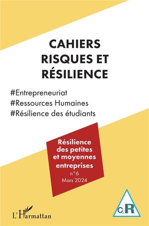 Resilience Des Petites Et Moyennes Entreprises 
