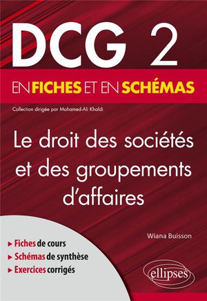 Dcg 2 : Le Droit Des Societes Et Des Groupements D'affaires En Fiches Et En Schemas 