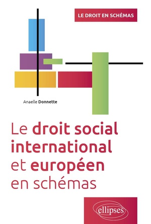 Le Droit Social International Et Europeen En Schemas : A Jour Au 15 Mars 2024 