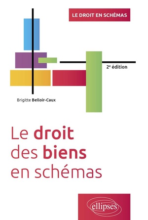 Le Droit Des Biens En Schemas : A Jour Au 15 Avril 2024 (2e Edition) 