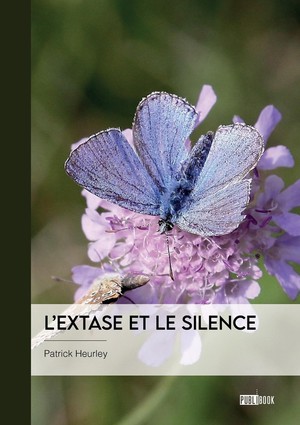 L'extase Et Le Silence 