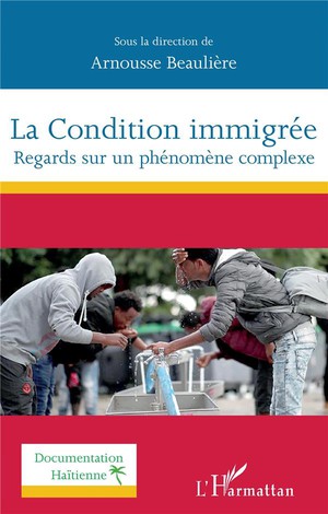 La Condition Immigree ; Regards Sur Un Phenomene Complexe 