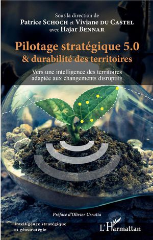 Pilotage Strategique 5.0 Et Durabilite Des Territoires ; Vers Une Intelligence Des Territoires Adaptee Aux Changements Disruptifs2 