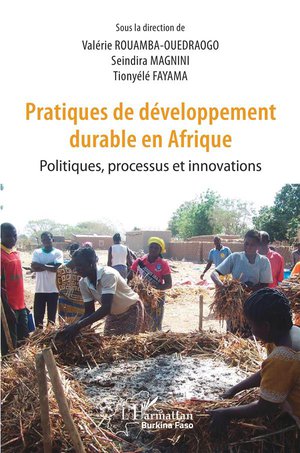 Pratiques De Developpement Durable En Afrique ; Politiques, Processus Et Innovations 