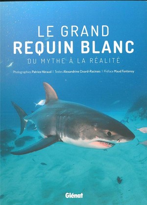 Le Grand Requin Blanc ; Du Mythe A La Realite 