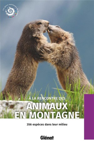 A La Rencontre Des Animaux En Montagne (2e Edition) 