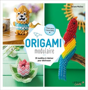 Origami Modulaire ; 20 Modeles A Realiser Pour Destresser 