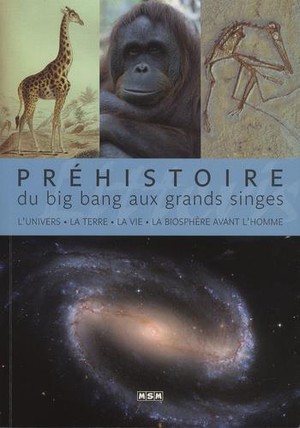 Prehistoire, Du Big Bang Aux Grands Singes 