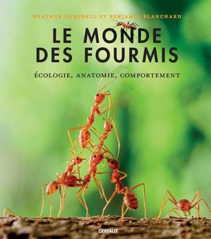 Le Monde Des Fourmis : Ecologie, Anatomie, Comportement 