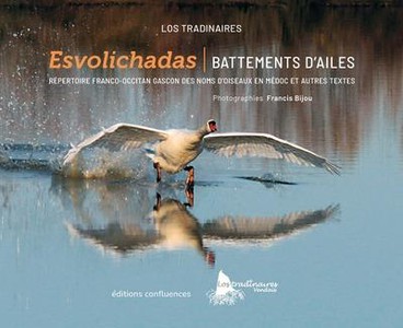 Esvolichabas / Battements D'ailes : Repertoire Franc-occitan Gascon Des Noms D'oiseaux En Medoc Et Autres Textes 