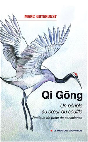 Qi Gong : Un Periple Au Coeur Du Souffle ; Pratique De Prise De Conscience 