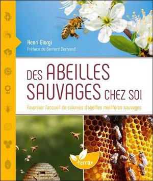 Des Abeilles Sauvages Chez Soi ; Favoriser L'accueil De Colonies D'abeilles Melliferes Sauvages 