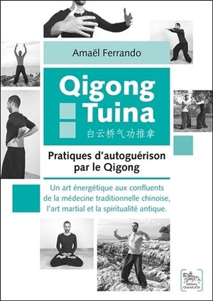 Qigong Tuina ; Pratiques D'autoguerison Par Le Qigong 