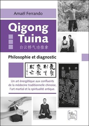 Qigong Tuina ; Philosophie Et Diagnostic 