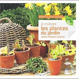 Je Multiplie Les Plantes Du Jardin ; Semis, Division, Bouture 