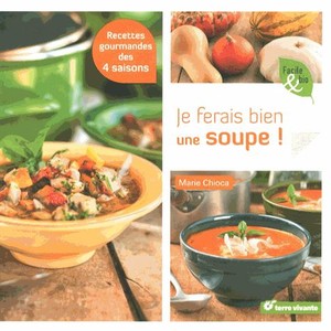 Je Ferais Bien Une Soupe ! ; Recettes Gourmandes Des 4 Saisons 