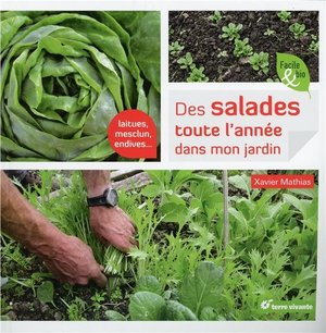 Des Salades Toute L'annee Dans Mon Jardin 