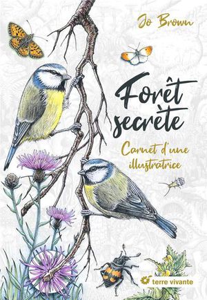 Foret Secrete : Carnet D'une Illustratrice 