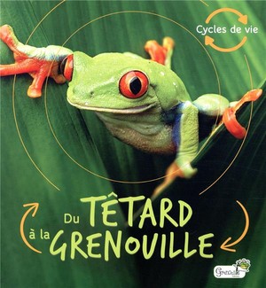 Du Tetard A La Grenouille 