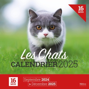 Les Chats : Calendrier (edition 2025) 