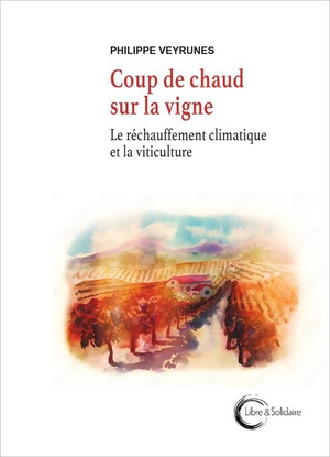 Coup De Chaud Sur La Vigne : Le Rechauffement Climatique Et La Viticulture 