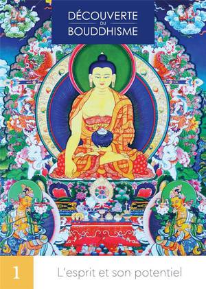Decouverte Du Bouddhisme Tome 1 : L'esprit Et Son Potentiel 