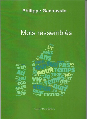 Mots Ressembles 