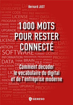 1000 Mots Pour Rester Connecte ; Comment Decoder Le Vocabulaire Du Digital Et De L'entreprise Moderne 