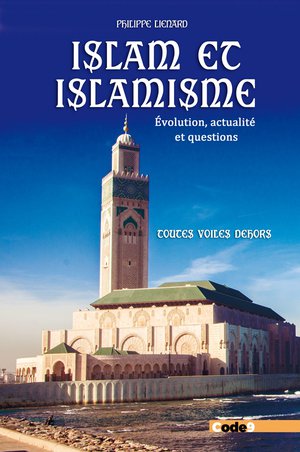 Islam Et Islamisme : Evolution, Actualite Et Questions, Toutes Voiles Dehors 
