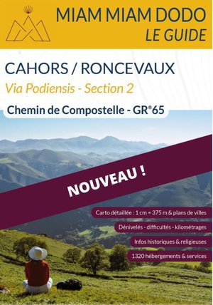 Cahors / Roncevaux, Via Podiensis - Section 2 : Chemin De Compostelle Gr 65 (edition 2024) 