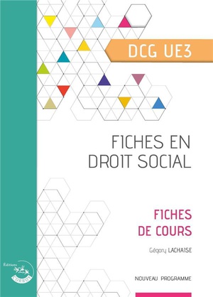 Ue3 : Fiches En Droit Social ; Dcg (edition 2023) 
