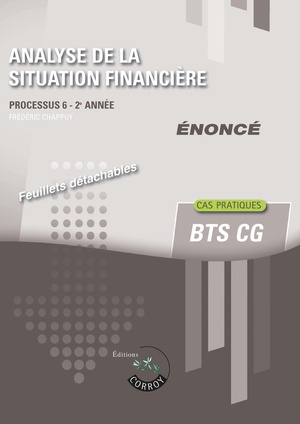 Processus 6 : Analyse De La Situation Financiere ; Bts Cg, 2e Annee ; Enonce (edition 2024) 
