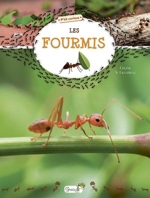 Les Fourmis 