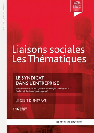 Liaisons Sociales ; Les Thematiques Tome 116 : Le Syndicat Dans L'entreprise ; Le Delit D'entrave 