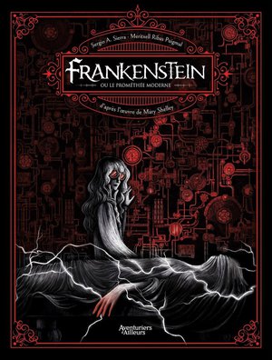 Frankenstein Ou Le Promethee Moderne 