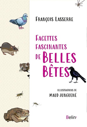 Facettes Fascinantes De Belles Betes 