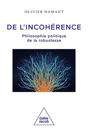 De L'incoherence : Philosophie Politique De La Robustesse 