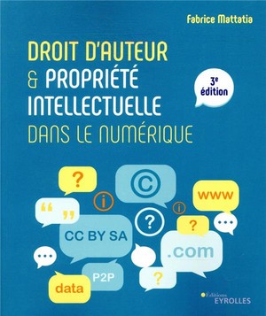 Droit D'auteur Et Propriete Intellectuelle Dans Le Numerique (3e Edition) 