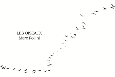 Les Oiseaux 