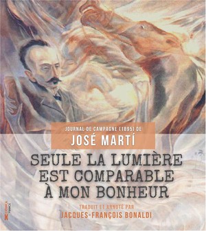 Seule La Lumiere Est Comparable A Mon Bonheur - Journal De Campagne (1895) 