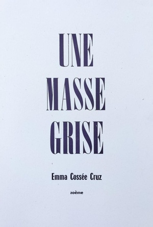 Cahier : Une Masse Grise 