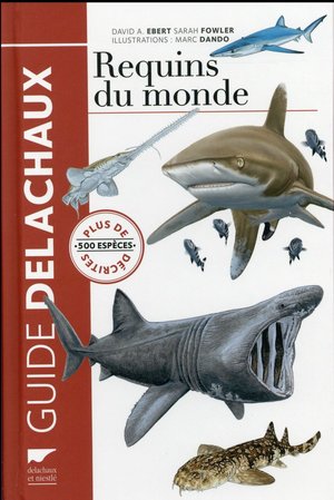 Requins Du Monde ; Plus De 500 Especes Decrites 