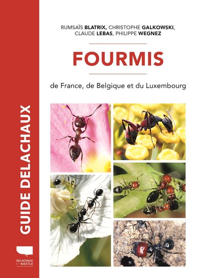 Fourmis De France - Plus De 100 Especes Decrites 