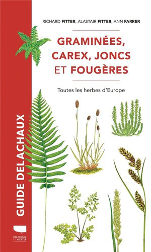 Guide Delachaux : Graminees, Carex, Joncs Et Fougeres : Toutes Les Herbes D'europe 