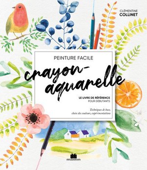 Crayon-aquarelle : Le Livre De Reference Pour Debutants ; Techniques De Base, Choix Des Couleurs, Experimentations 