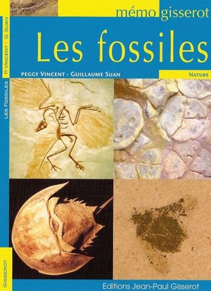 Memo - Les Fossiles 